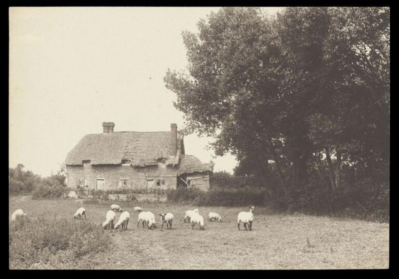 Gale, Lt. Col. Joseph, Rural Life