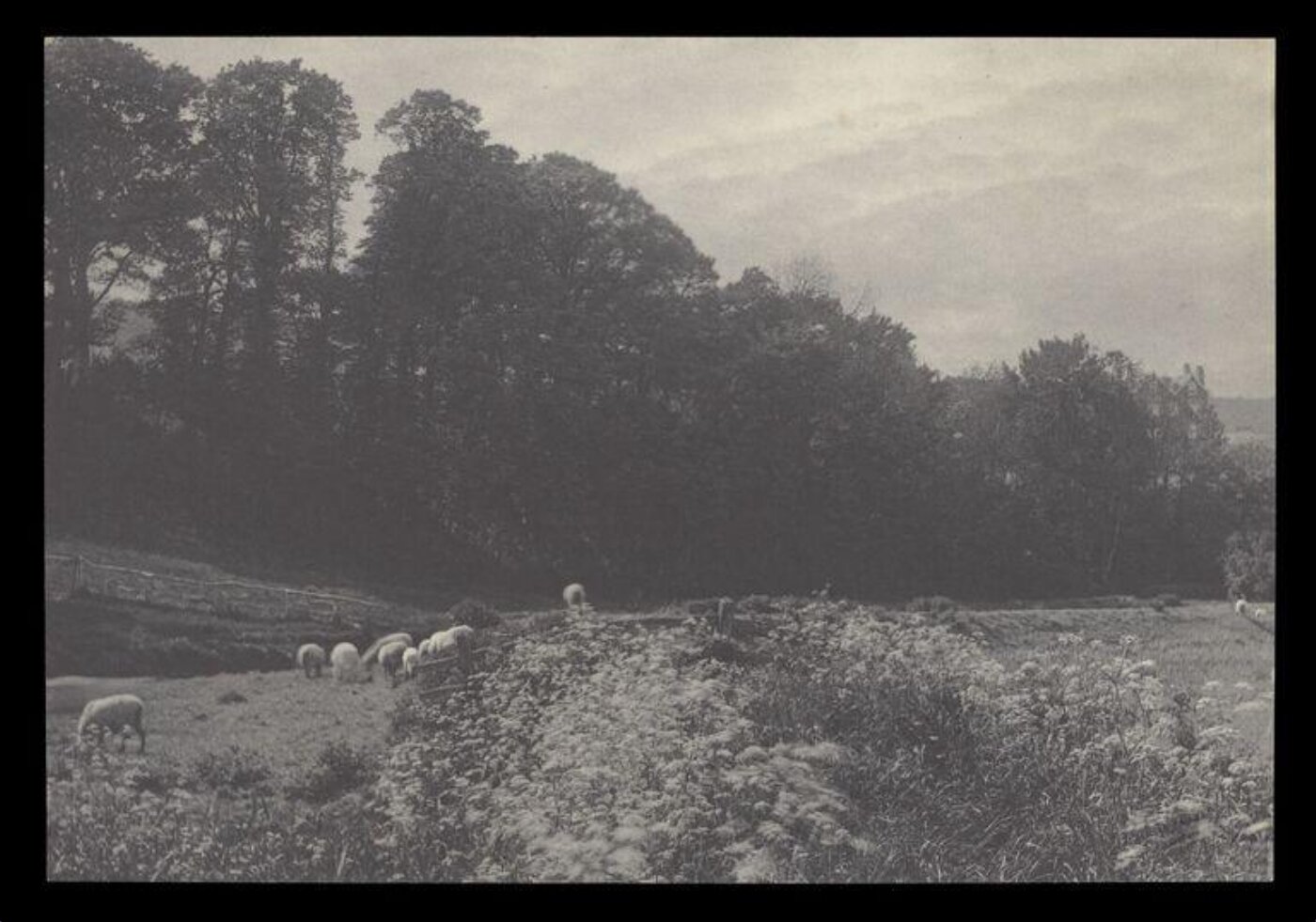 Gale, Lt. Col. Joseph, Rural Life