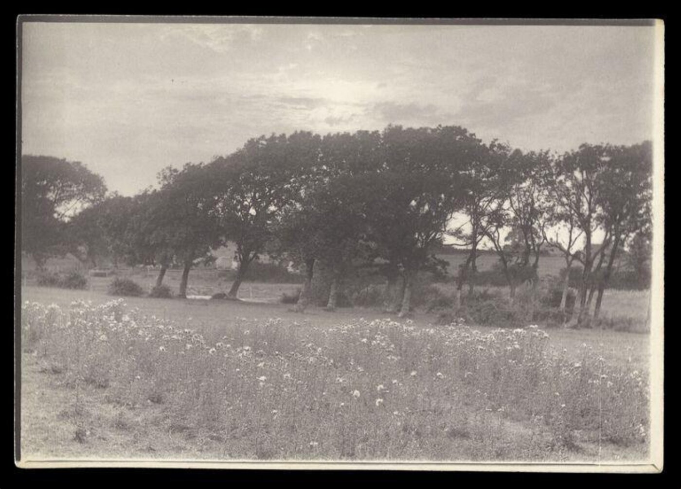 Gale, Lt. Col. Joseph, Landscape
