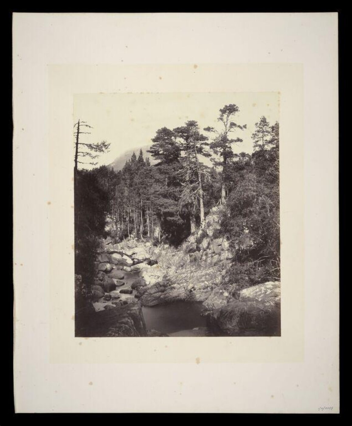 Fenton, Roger, Bed of Garravault, Braemar, Scotland