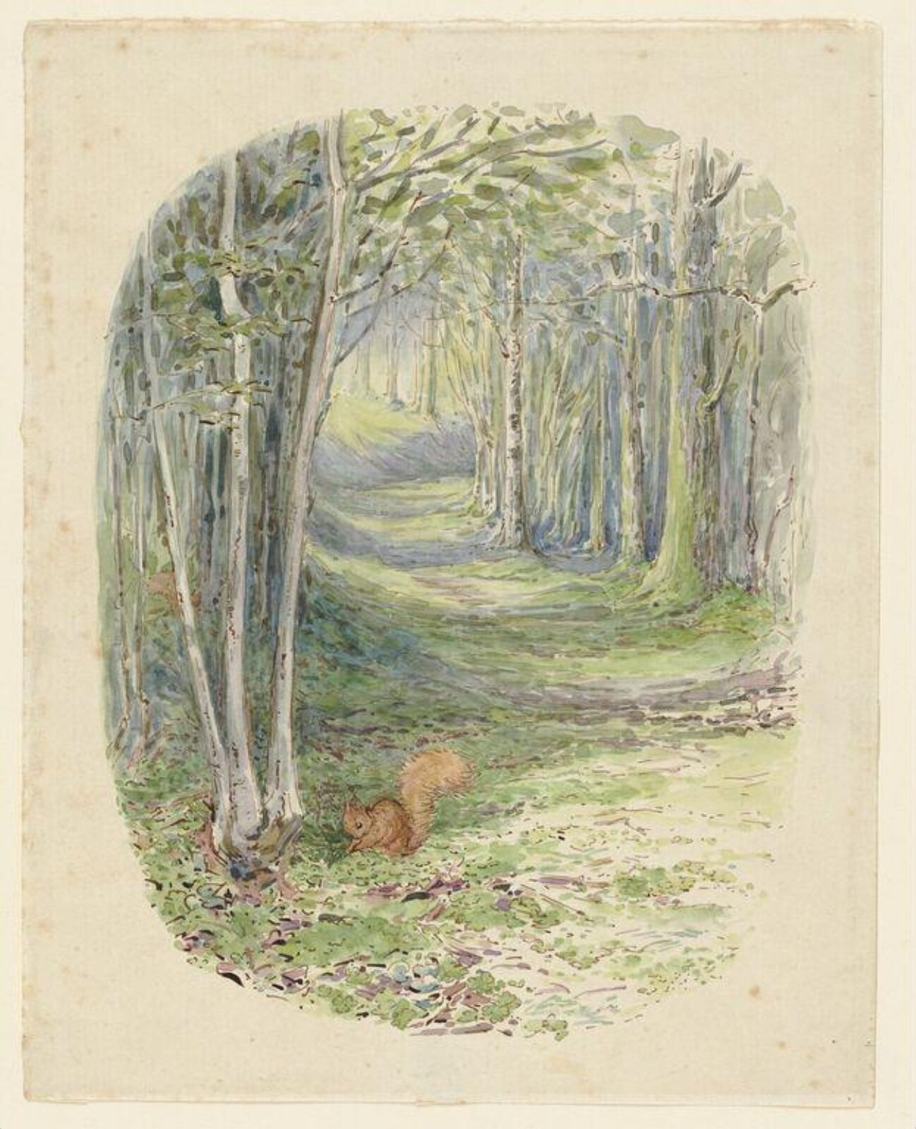 Squirrel in a wood, Beatrix Potter, 1903