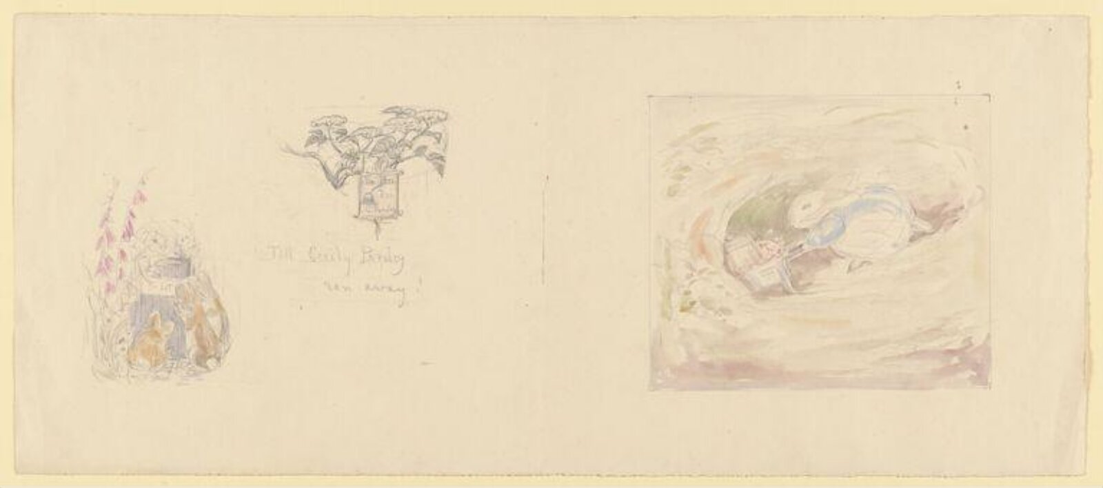 Cecily Parsley, Beatrix Potter, ca. 1896