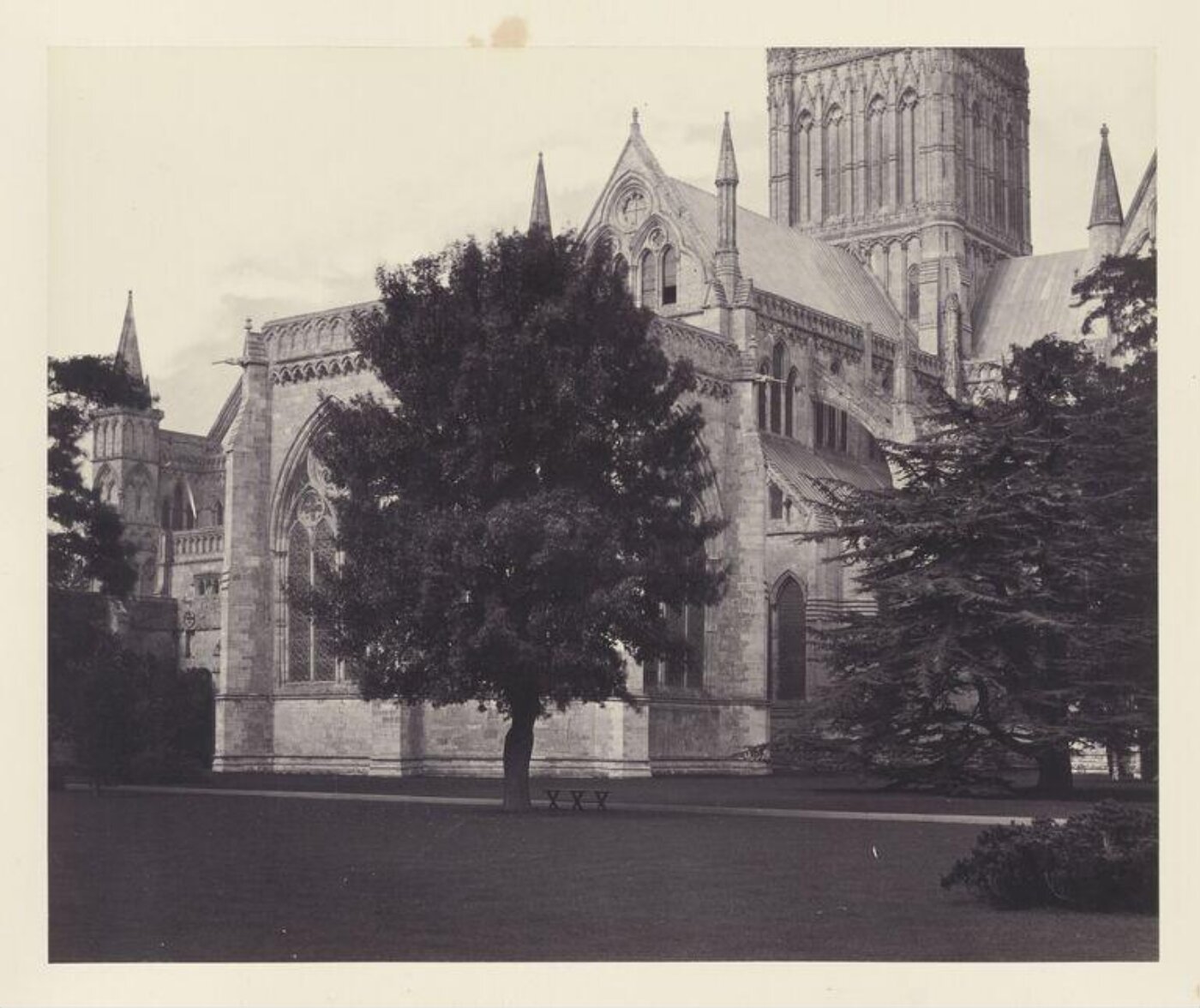 Fenton, Roger, Salisbury: the Bishop's Garden