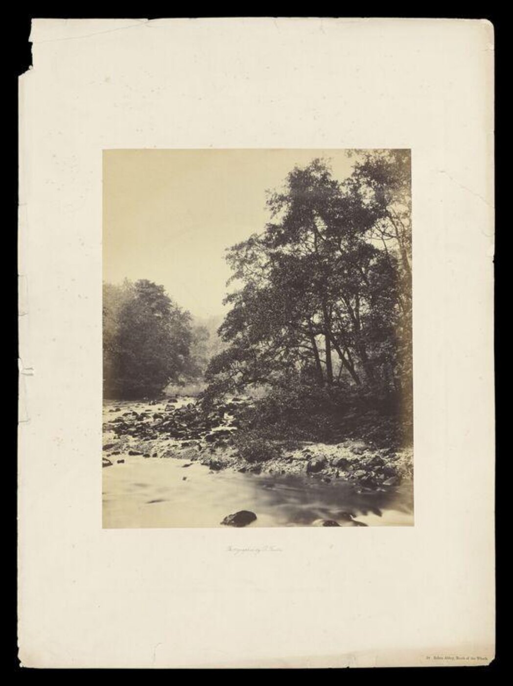 Fenton, Roger, Bolton Abbey, Reach of the Wharfe