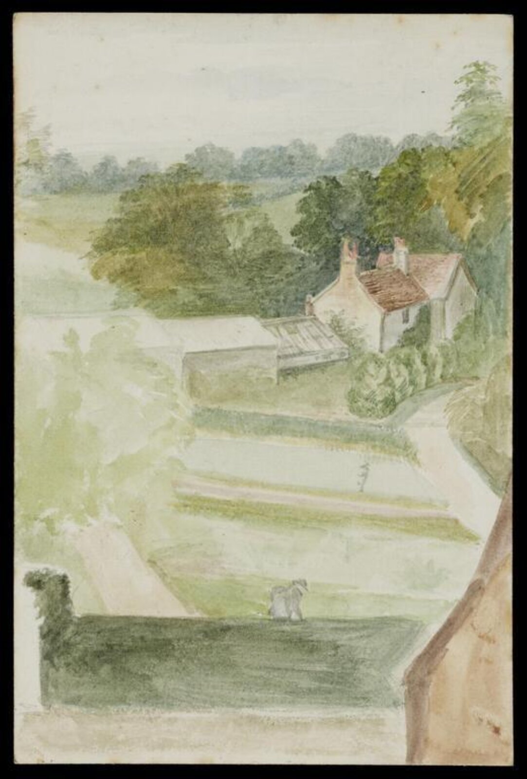 Watercolour, Beatrix Potter, 1886