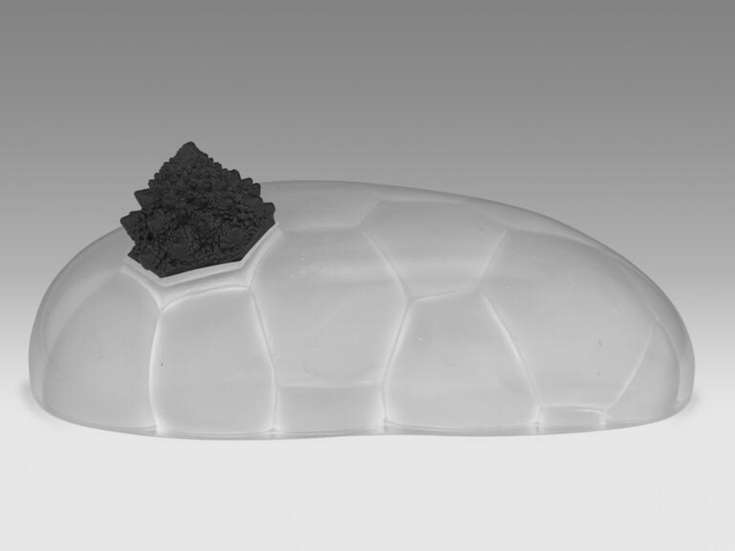 Scape, Angela Jarman