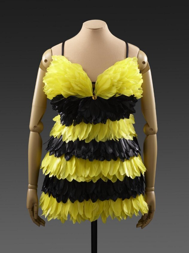 Dress worn by Rowetta