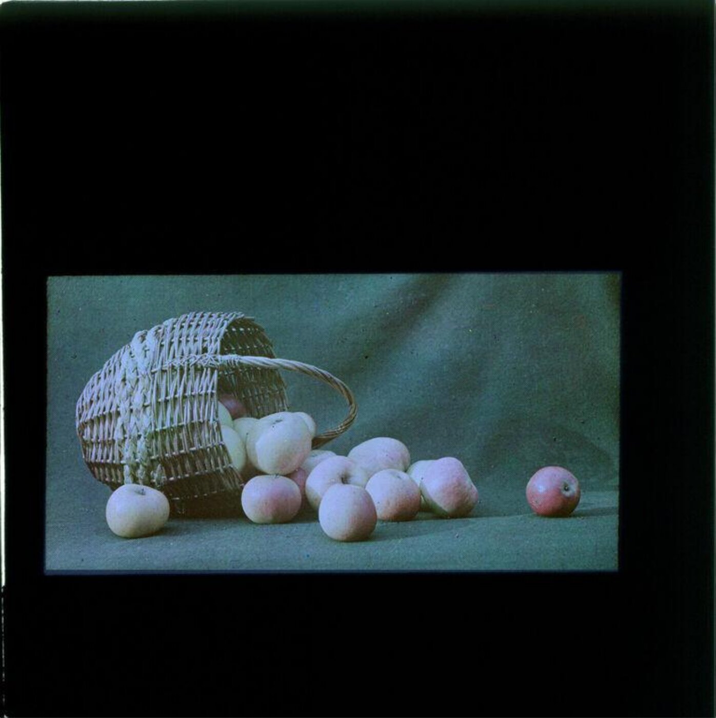 Anonymous, Photograph