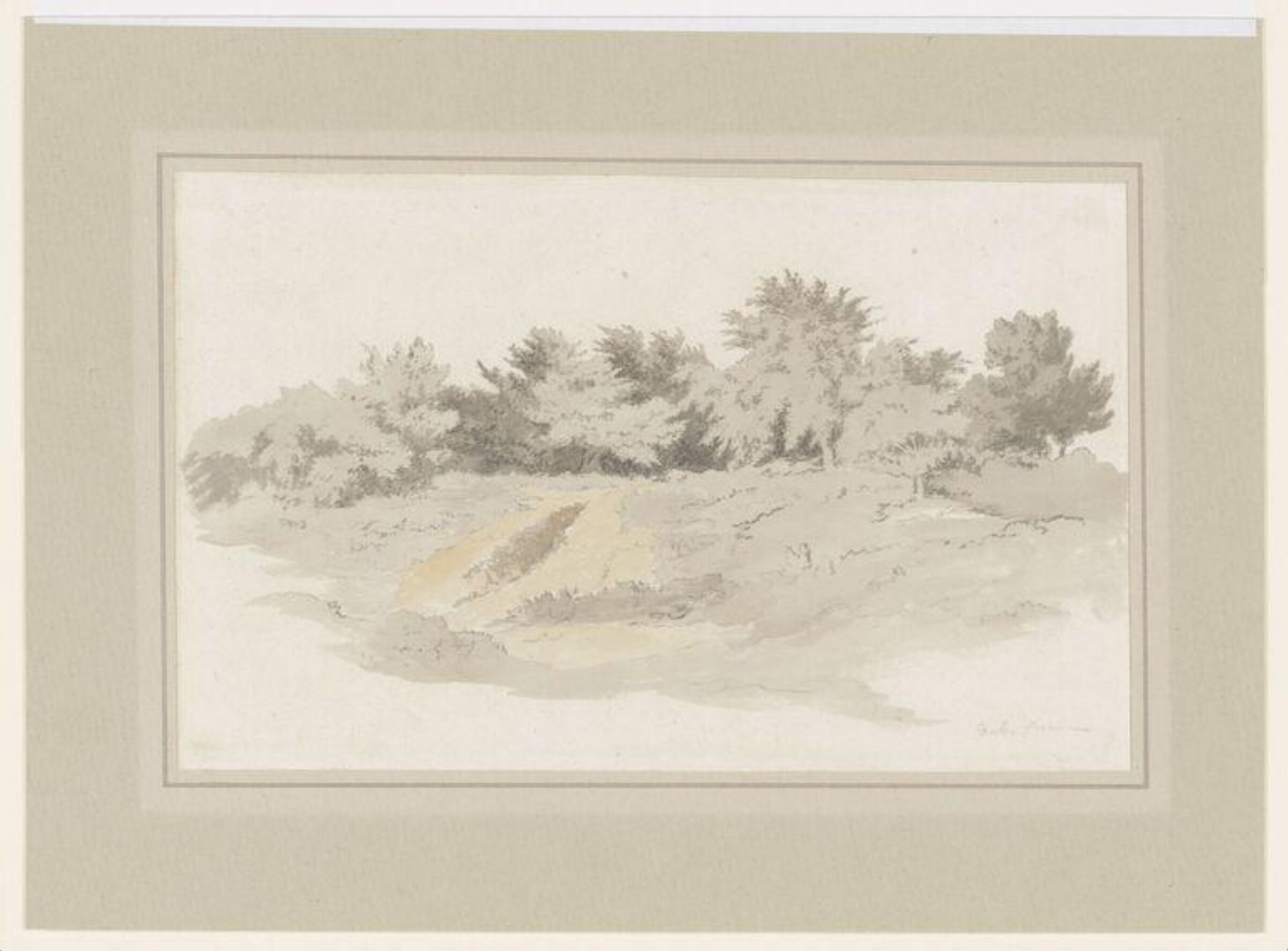A Group of Trees in Heathland, Robert Hills, 18th century