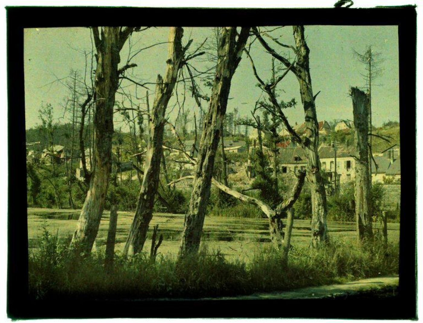 Anonymous, Photograph