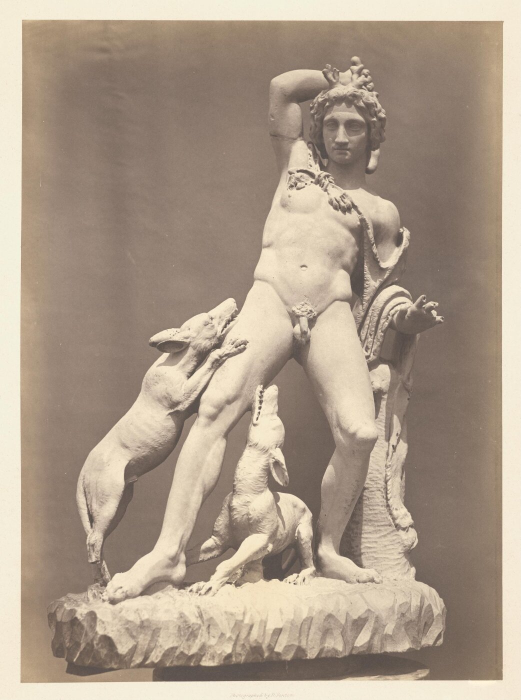 Fenton, Roger, Photograph