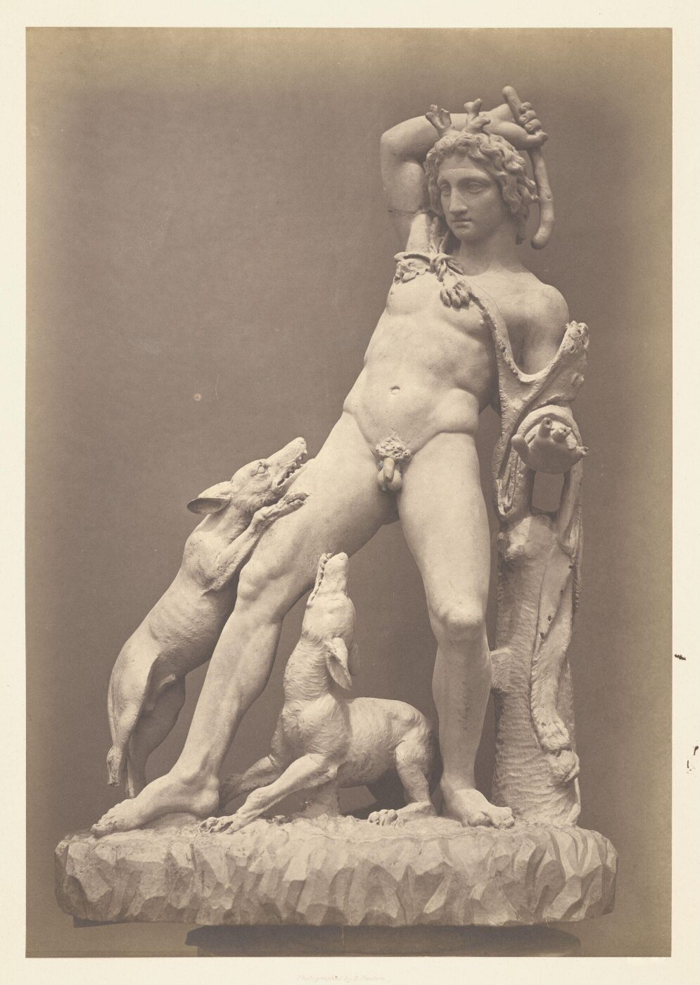 Fenton, Roger, Photograph