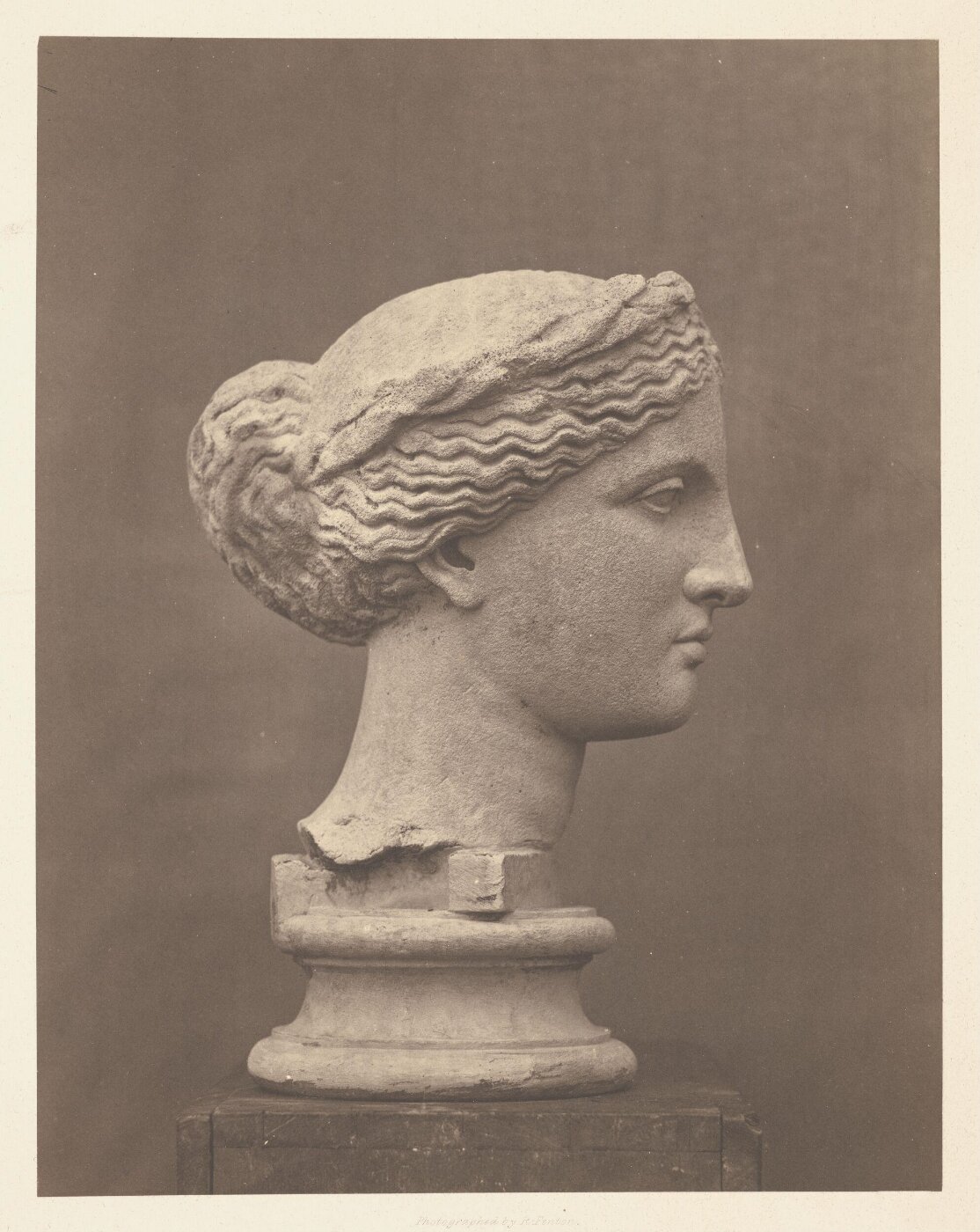 Fenton, Roger, Muse