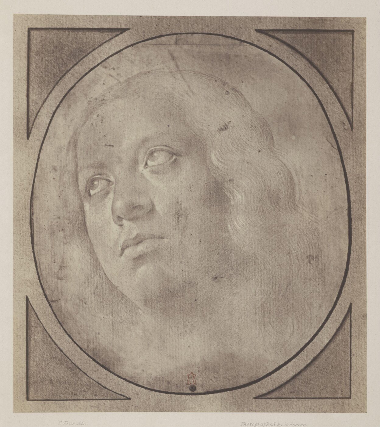 Fenton, Roger, Photograph of F. Francia drawing