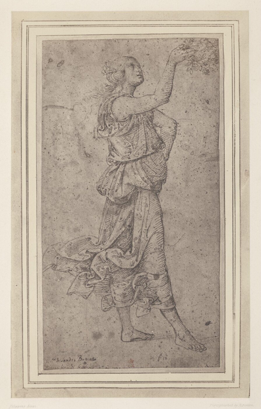 Fenton, Roger, Photograph of Filippino Lippi drawing