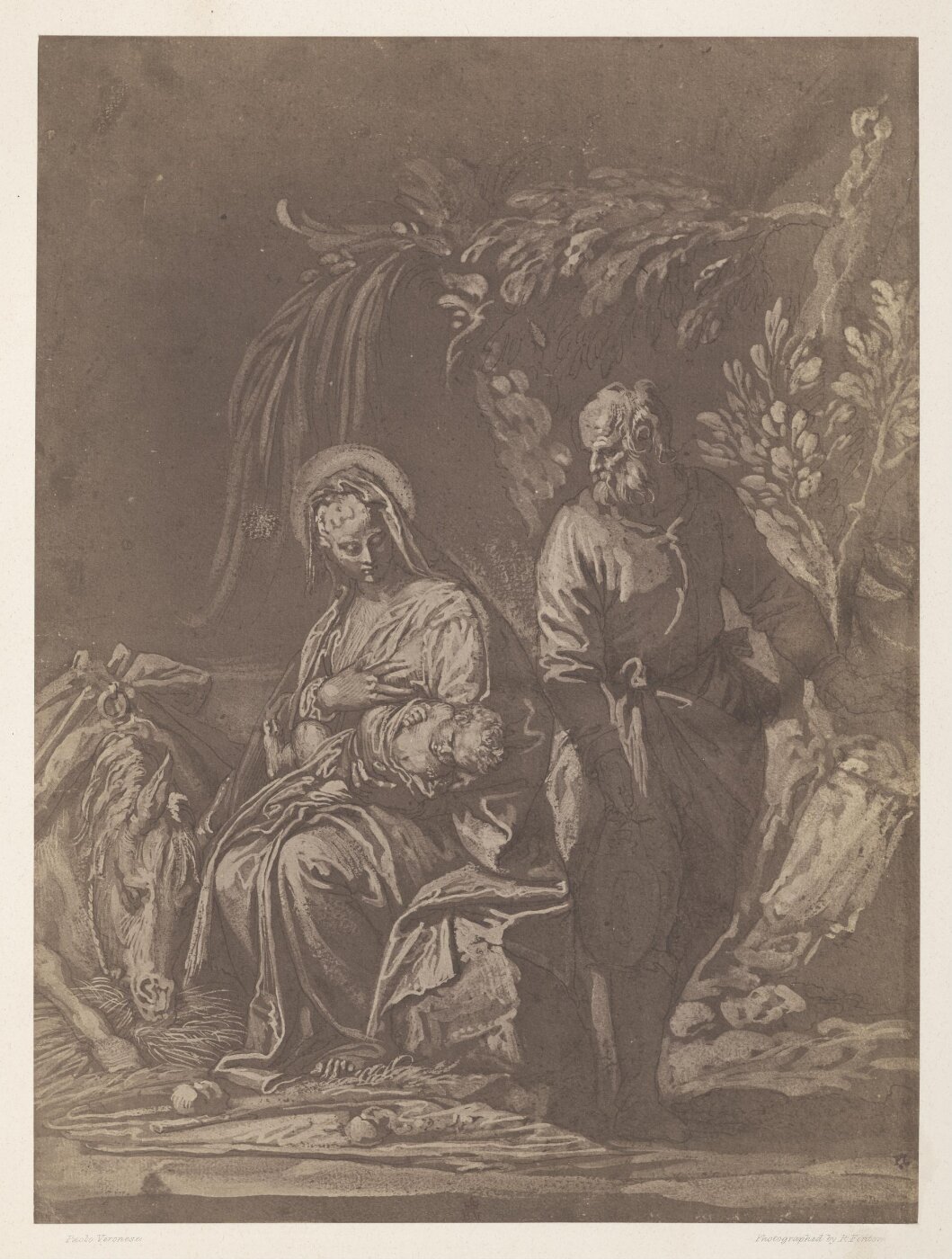 Fenton, Roger, Photograph of Paolo Veronese drawing