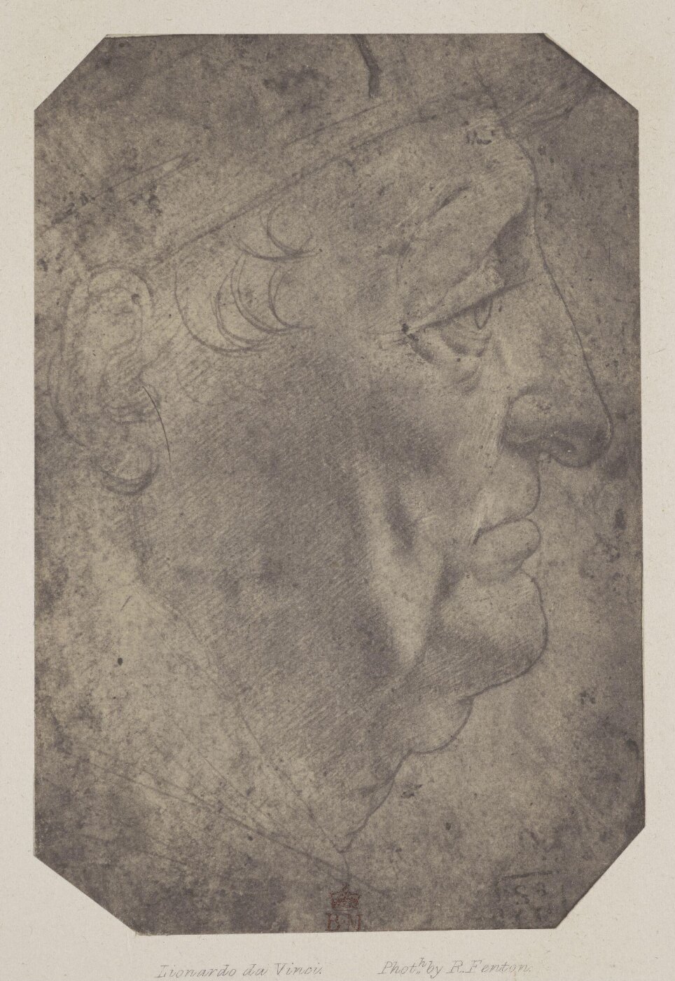 Fenton, Roger, Photograph of Leonardo da Vinci drawing