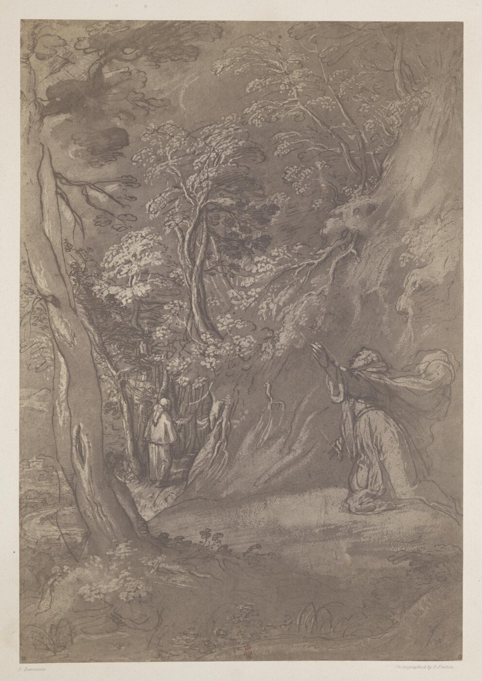 Fenton, Roger, Photograph of Barrocio drawing