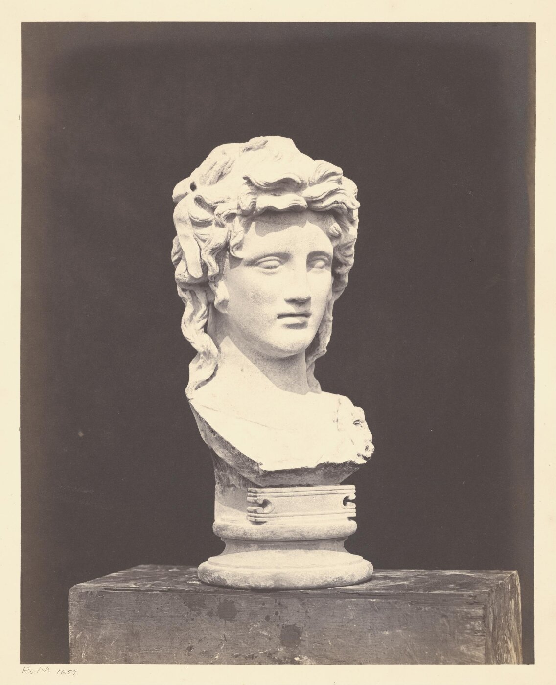 Fenton, Roger, Head of Bacchante