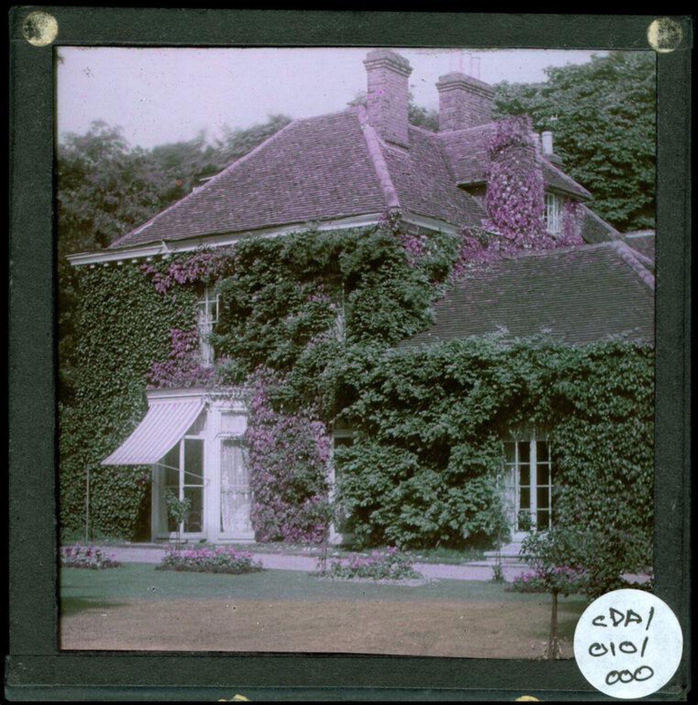 Anonymous, Photograph