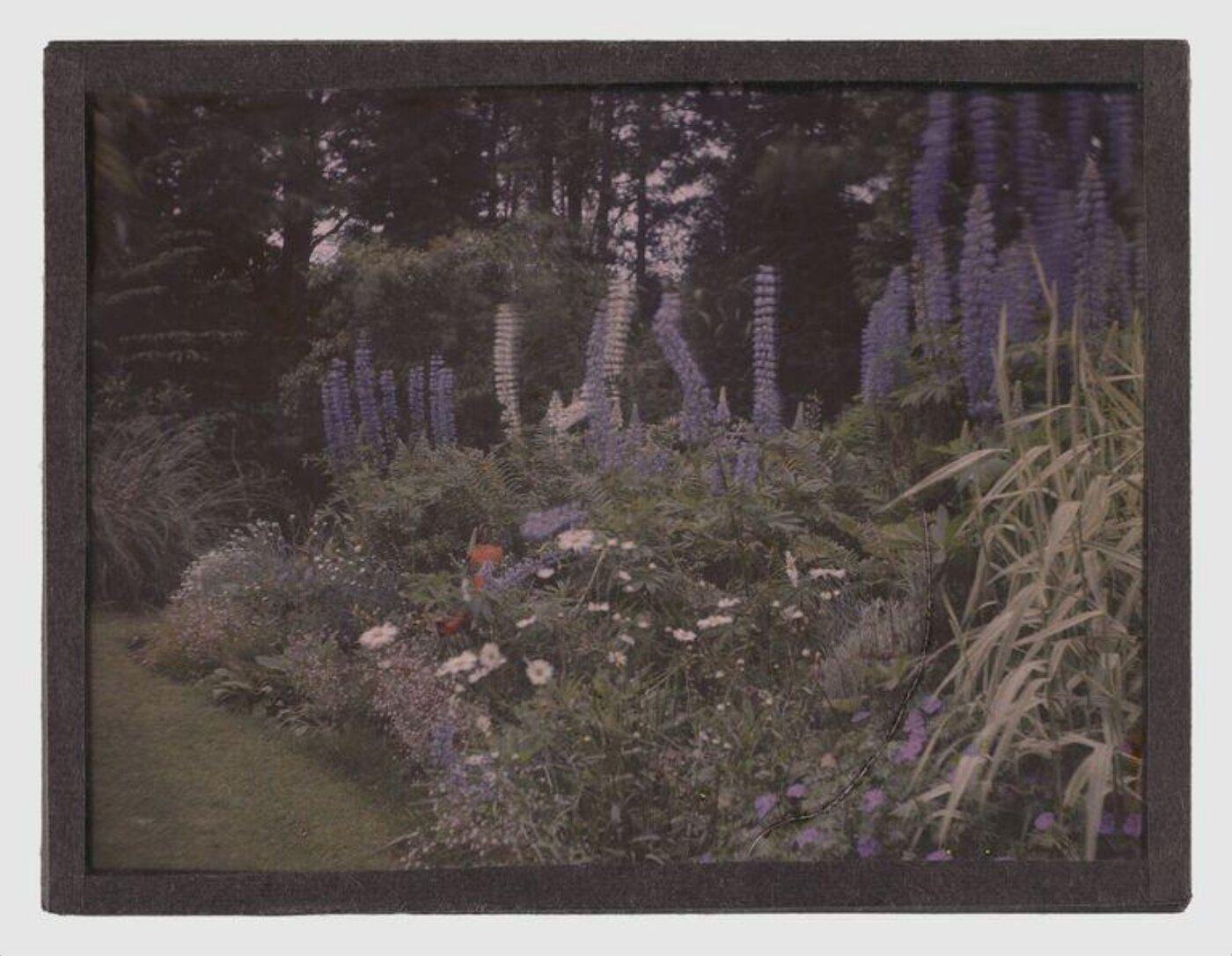 Unknown, Garden study