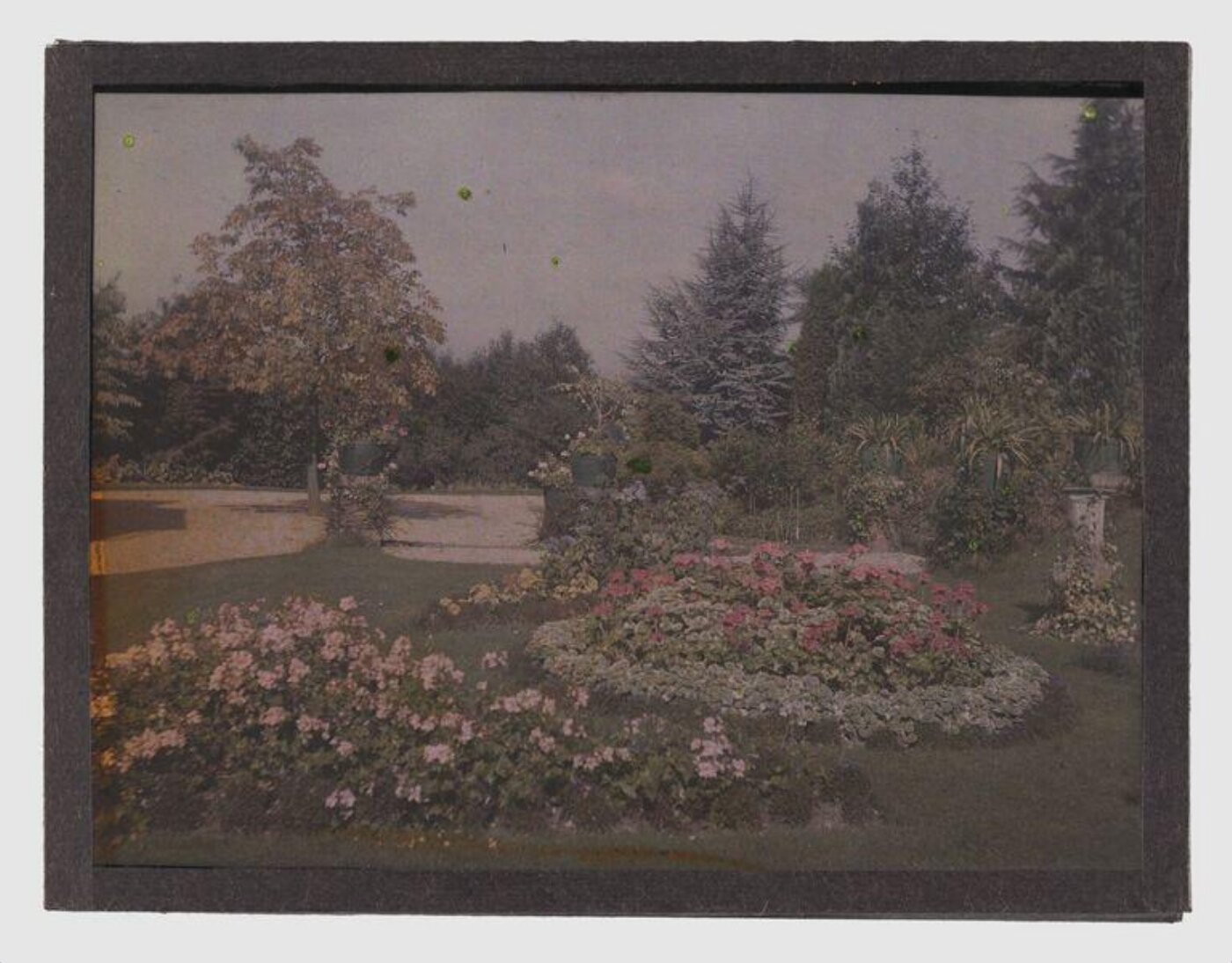 Unknown, Garden study