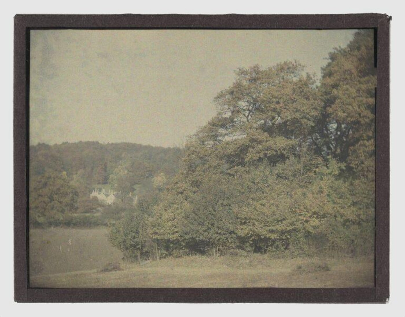 Unknown, Landscape study
