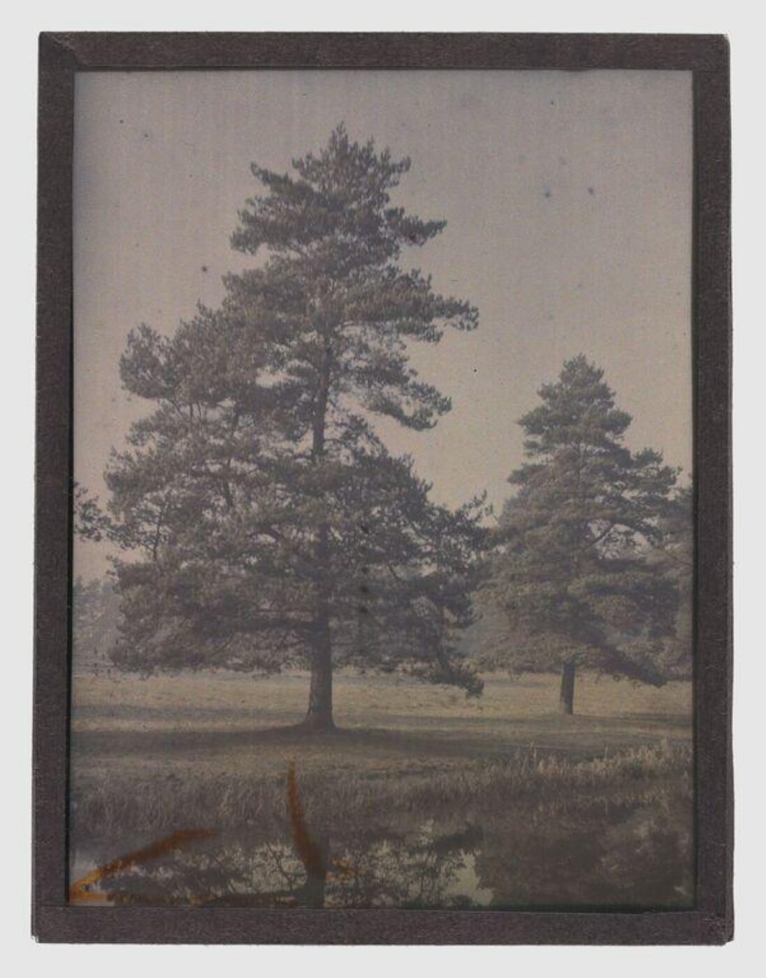 Unknown, Garden study