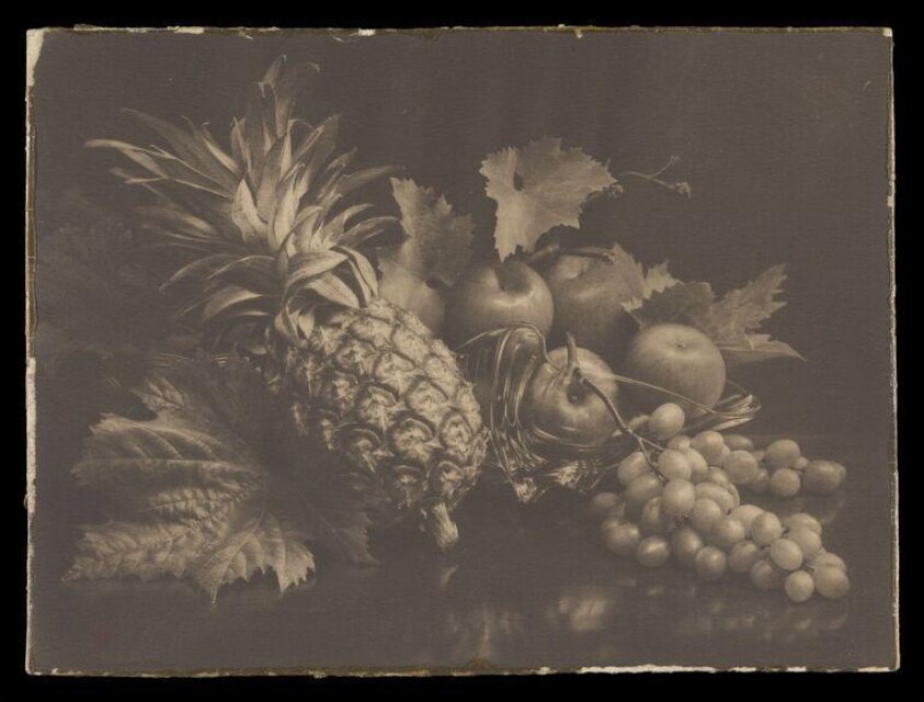 Still Life - Fruit