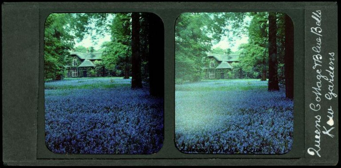 Anonymous, Photograph