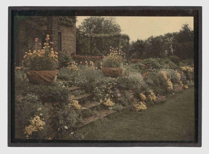 Garden study (ca.1920) by Franciscus Sansom