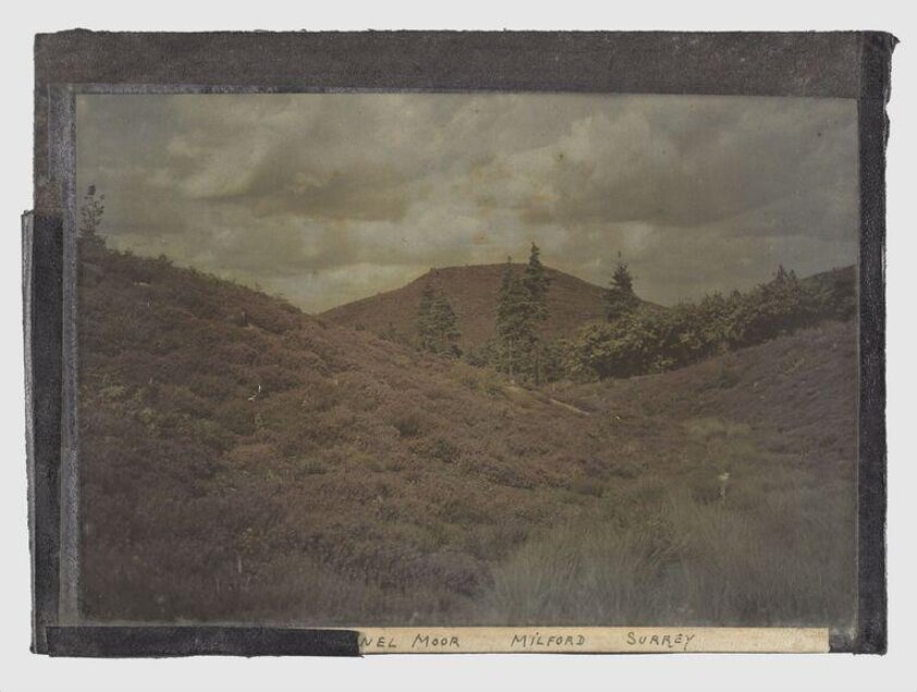 Moor, Milford, Surrey (ca.1920) by Franciscus Sansom