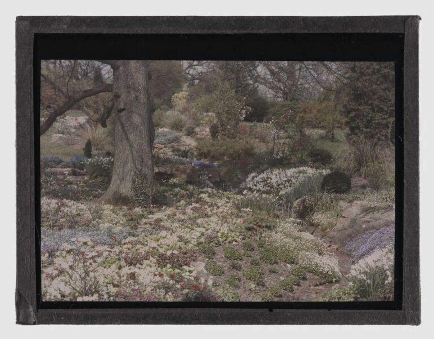Unknown, Abbots Wood