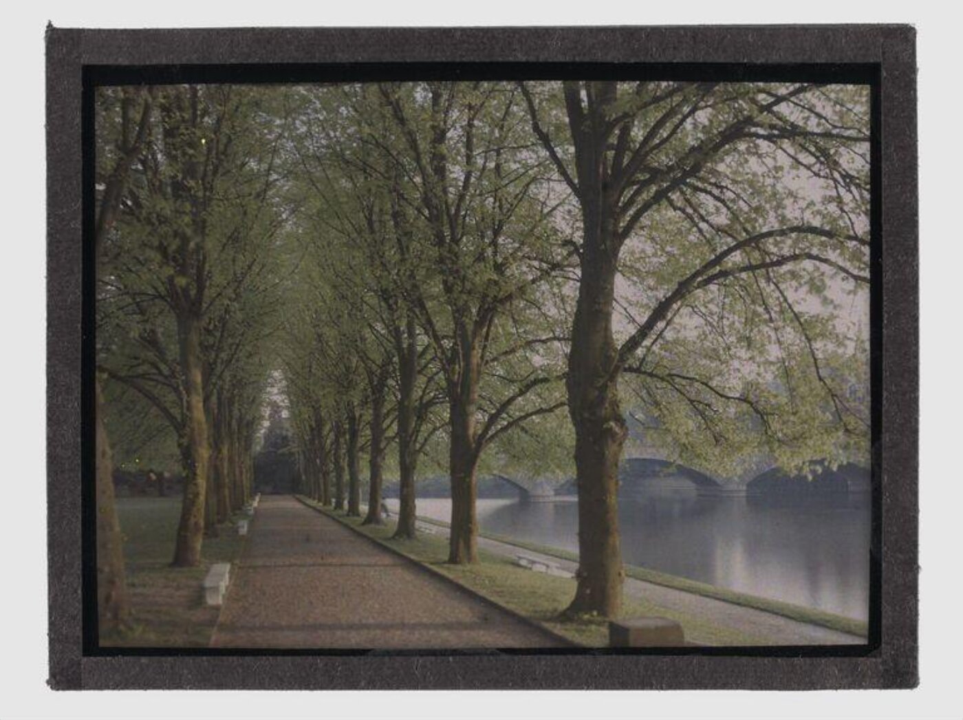 Unknown, Evesham