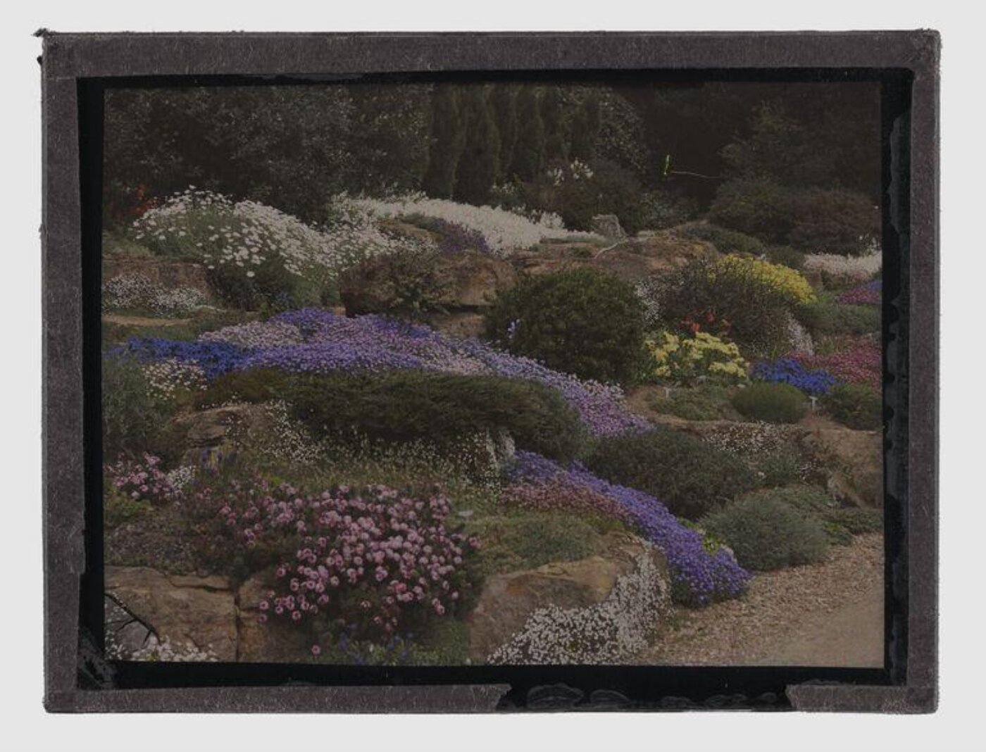 Unknown, Batsford