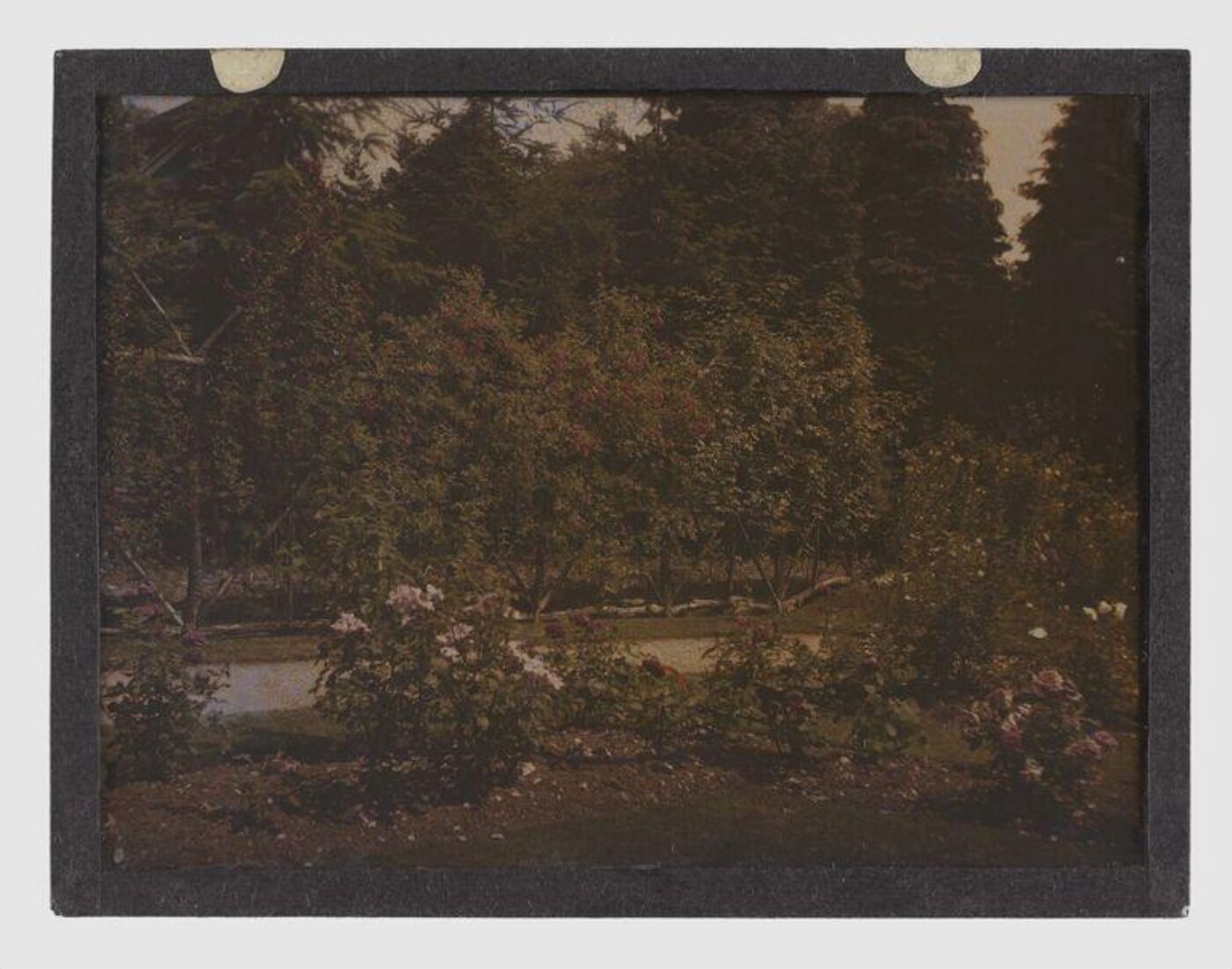 Unknown, Garden study