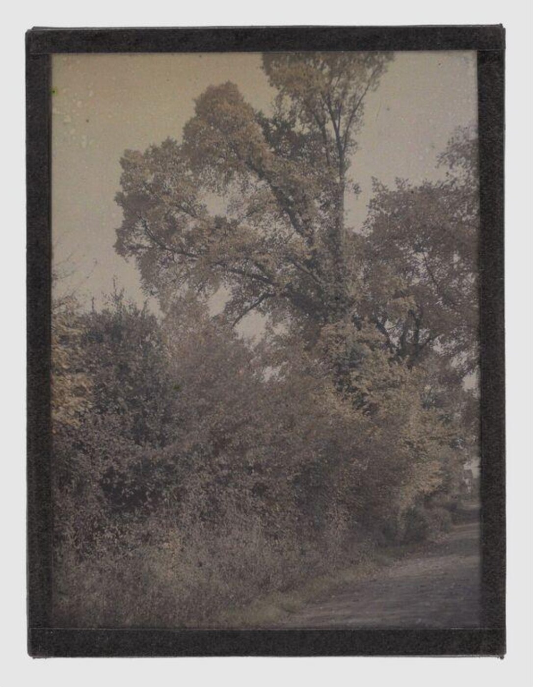 Unknown, Landscape study