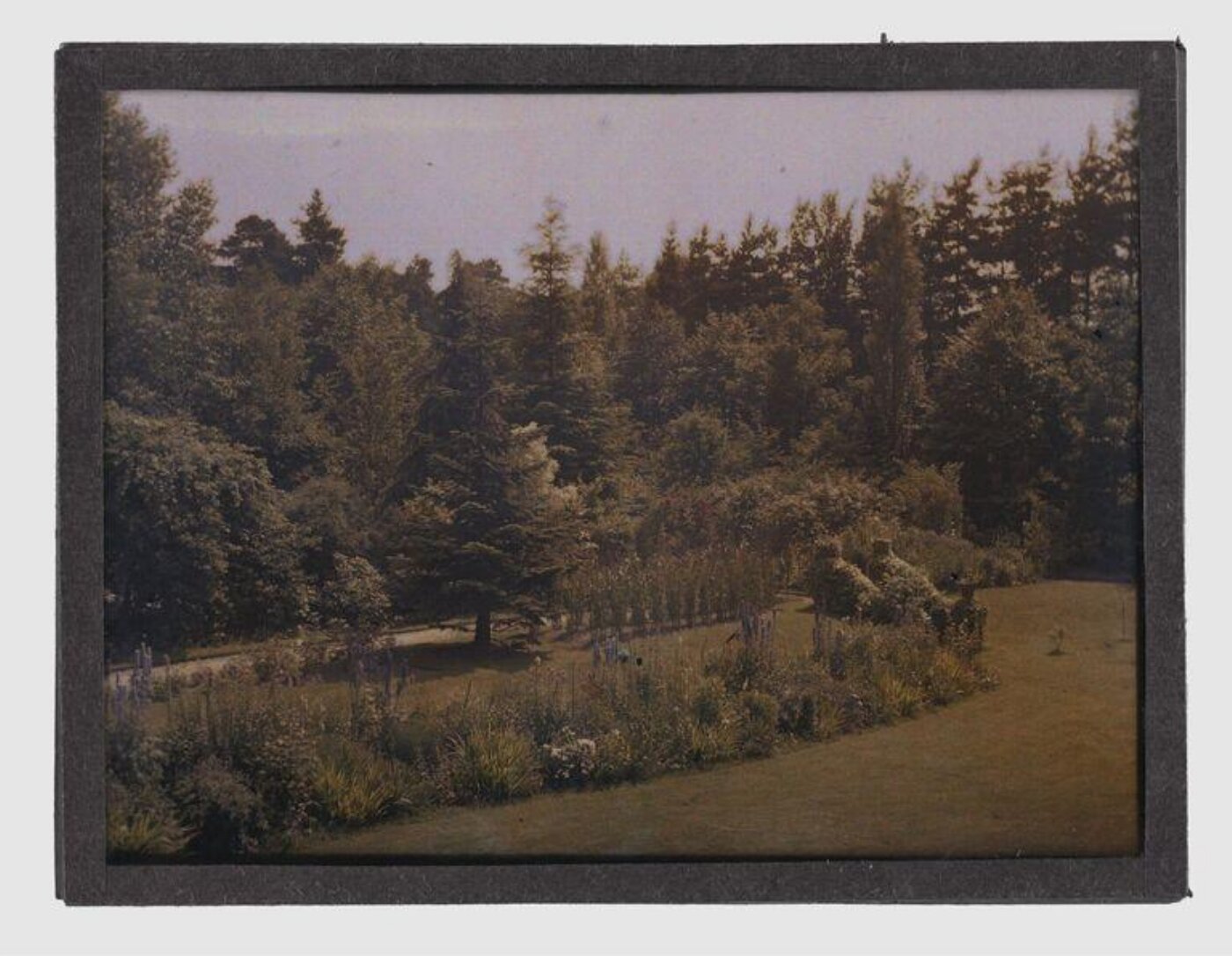 Unknown, Landscape study