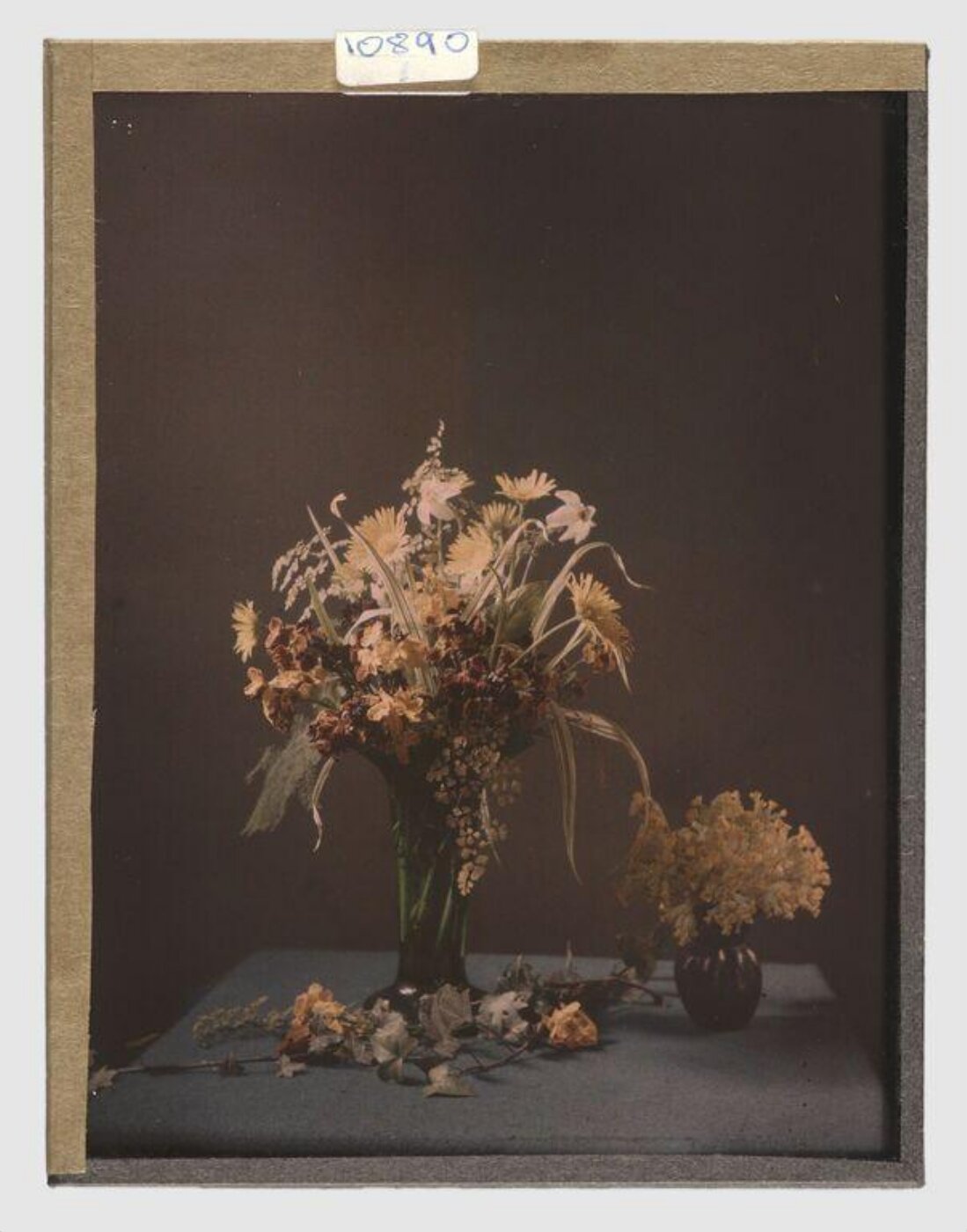 Unknown, Flower study