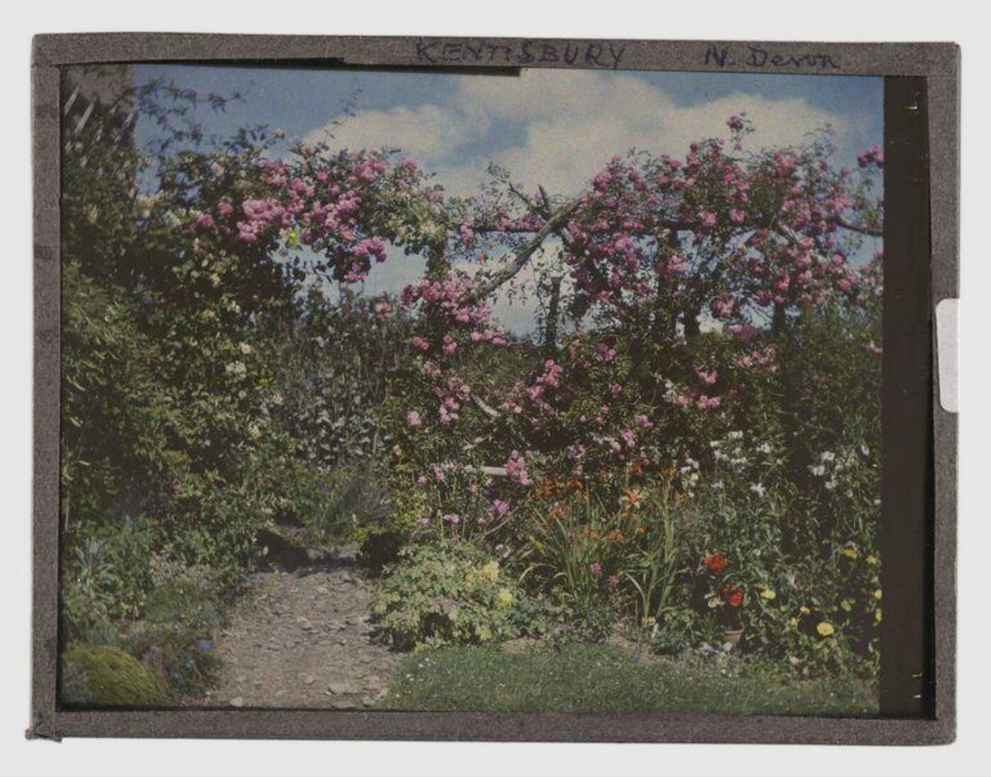 Unknown, View of garden