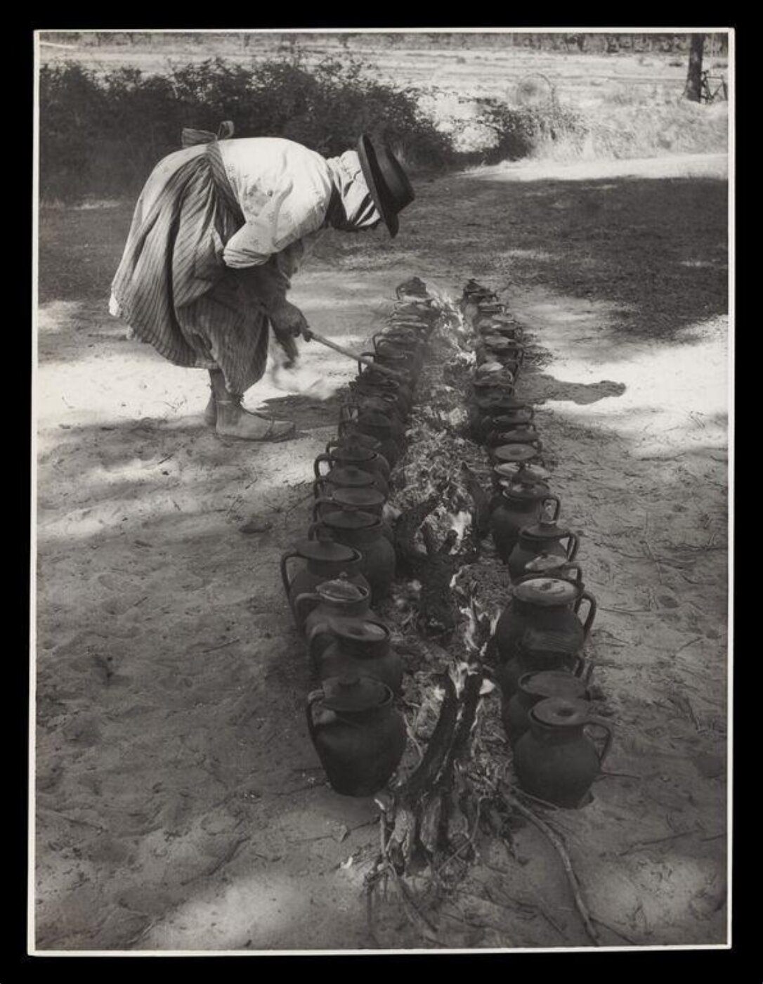 Hardy, Bert, Portuguese Rice Harvest