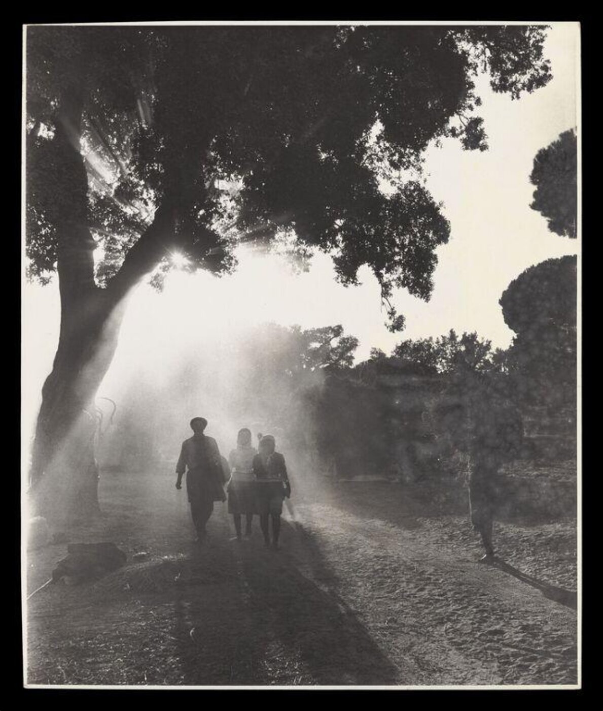 Hardy, Bert, Portuguese Rice Harvest
