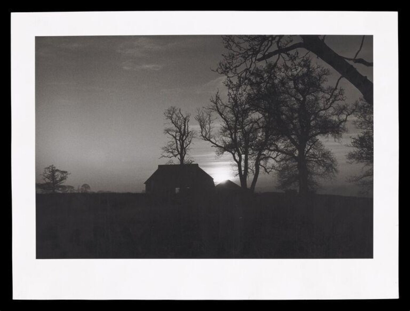 Hardy, Bert, Trees