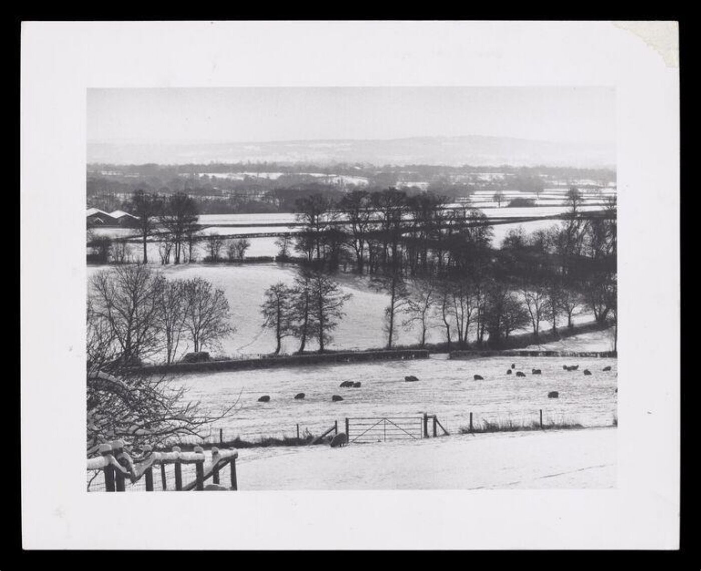 Hardy, Bert, Snow