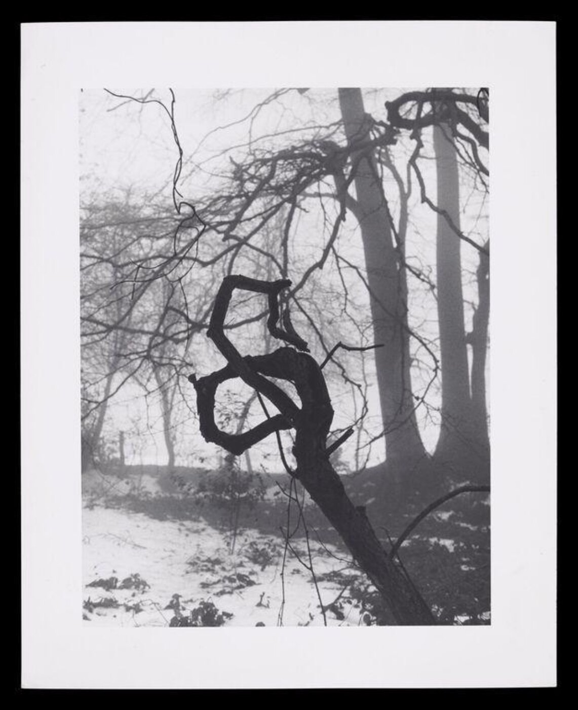 Hardy, Bert, Snow