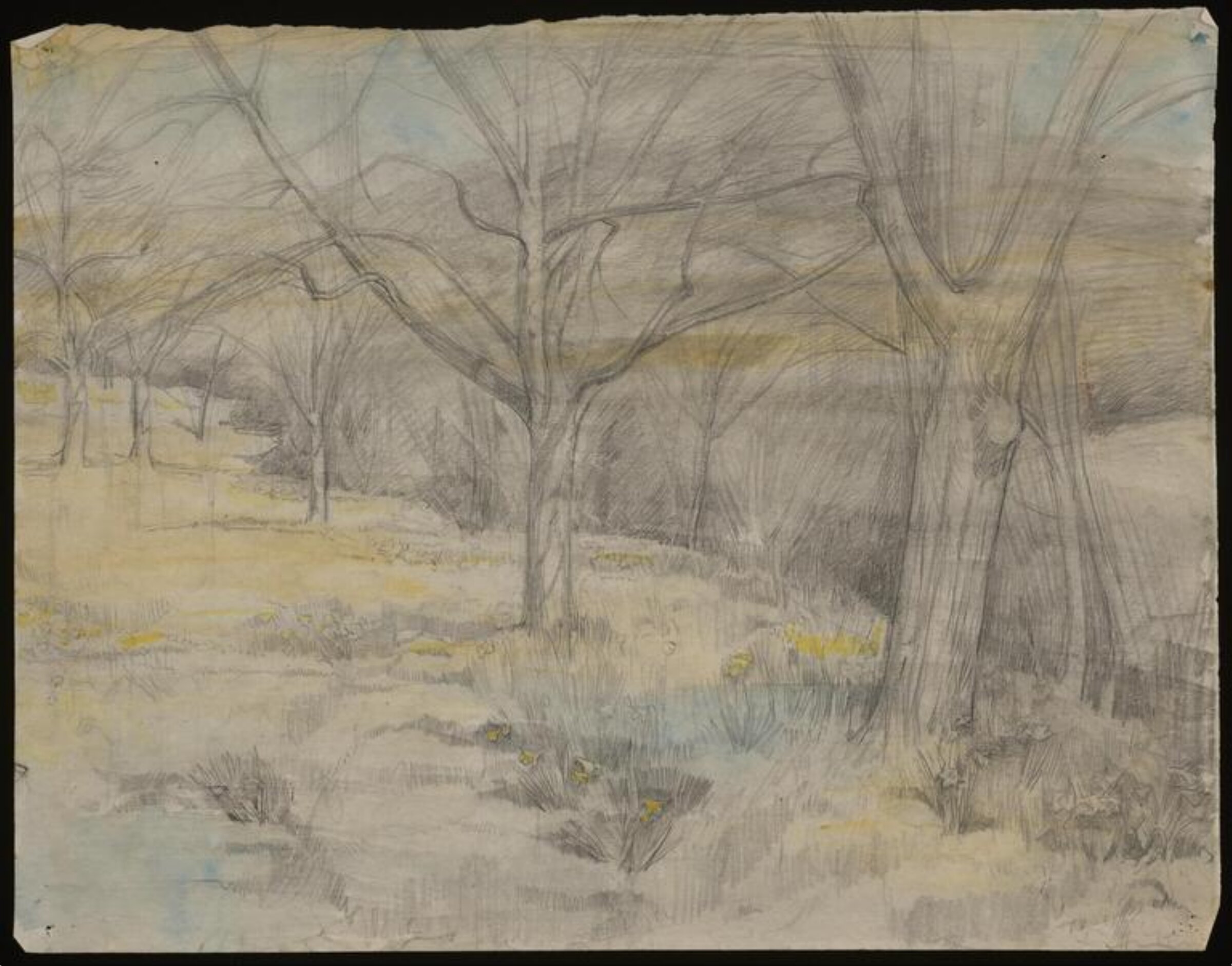 Drawing, Mary Headlam, ca. 1890-1959