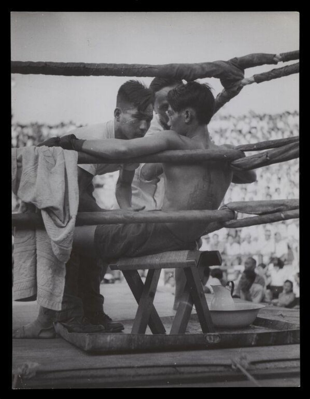 Hardy, Bert, All-In boxing