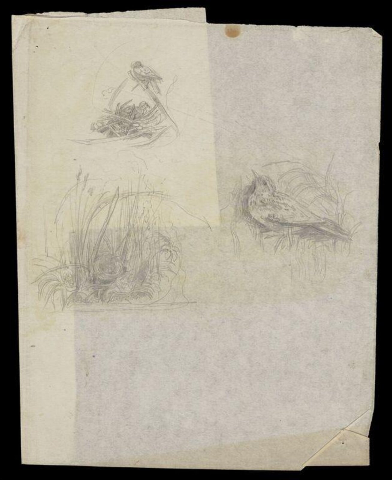 Drawing, Mary Headlam, ca. 1890-1959