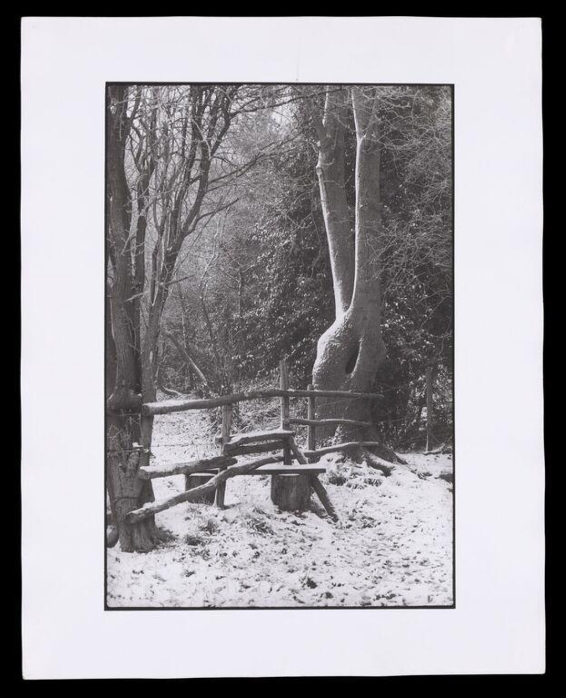Hardy, Bert, Wooded landscape