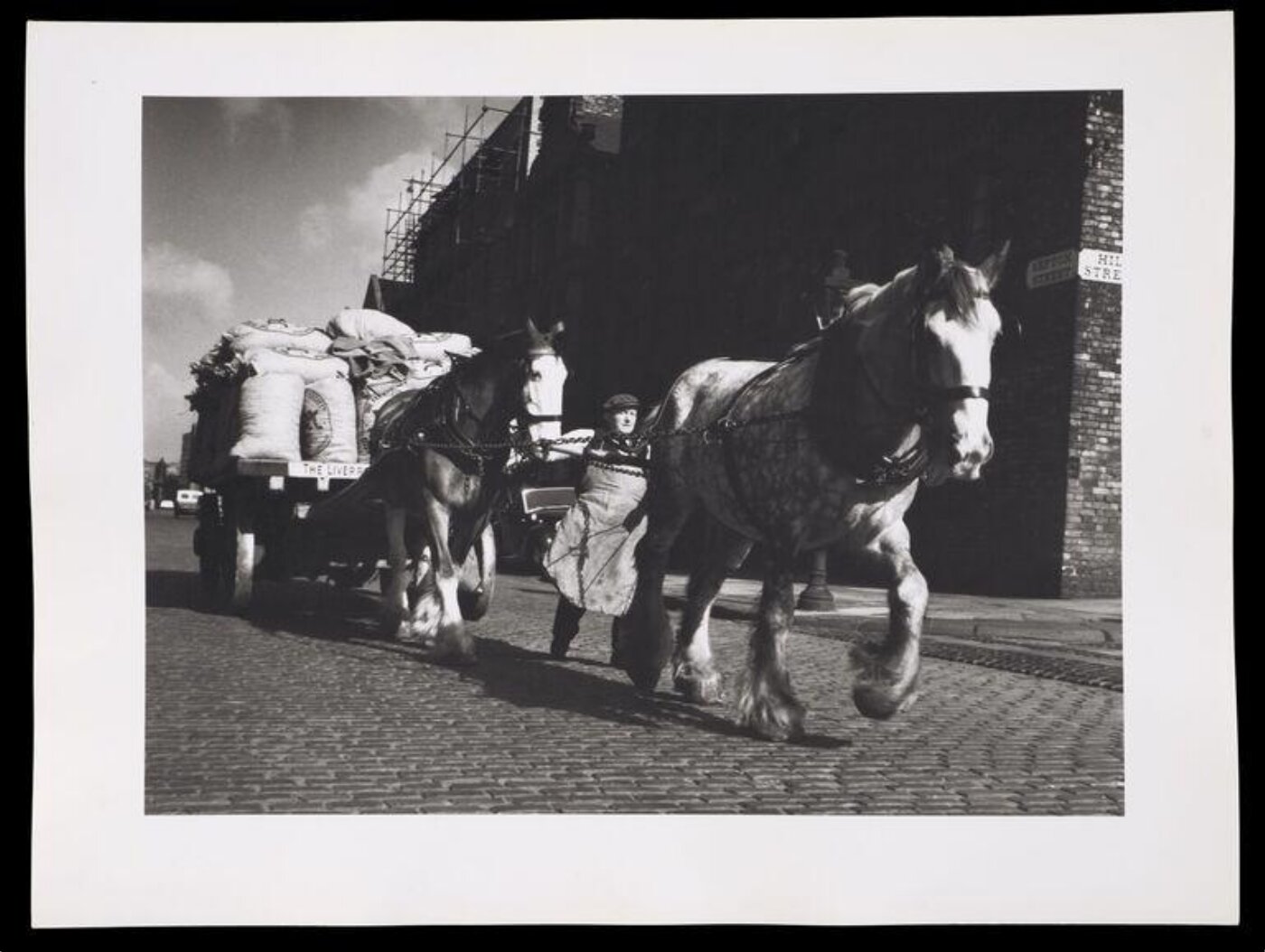 Hardy, Bert, Cart horses